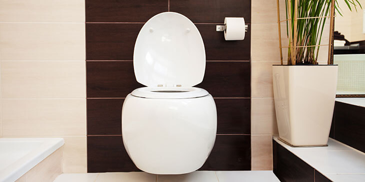 Cuvettes de WC & Toilettes : hygiénique, moderne et de haute